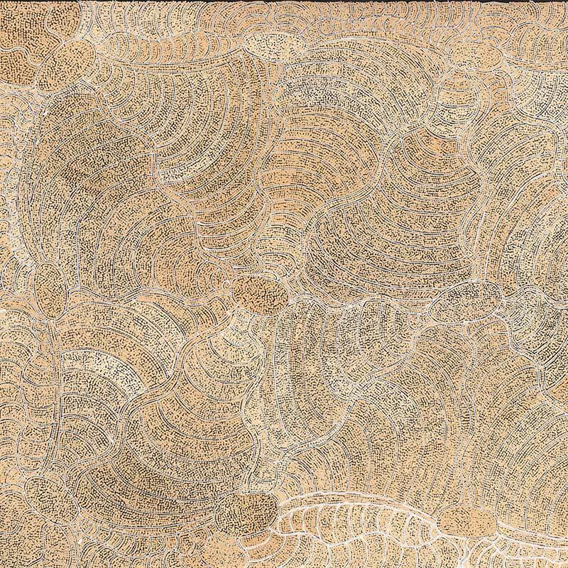 Janganpa Jukurrpa II - Toile avec cadre en chêne